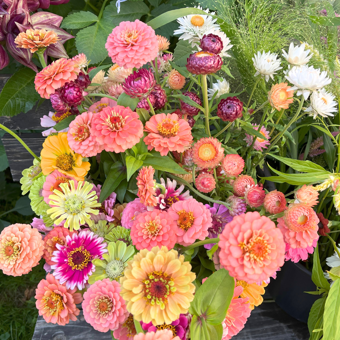 Bucket of Blooms