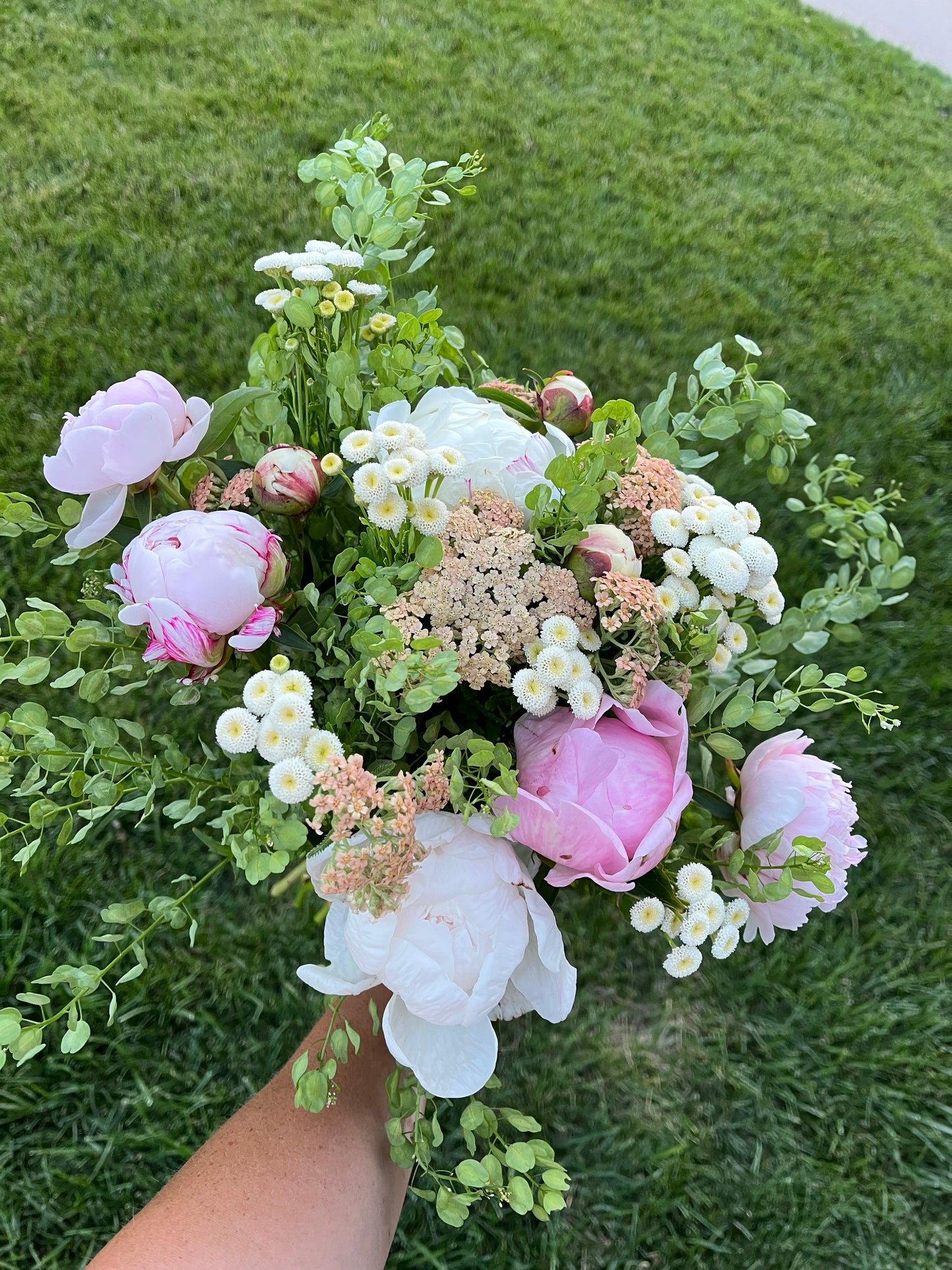 Mini peony