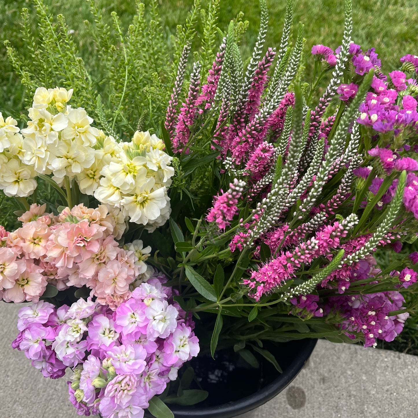 Bucket of Blooms