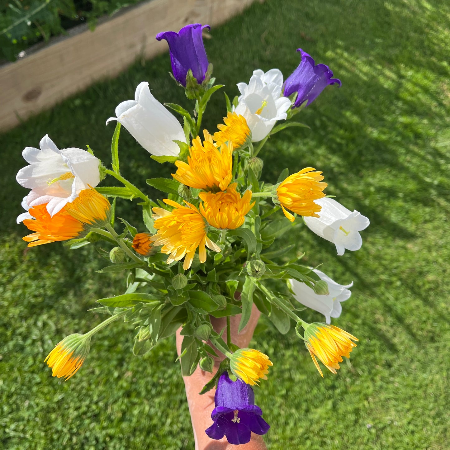 Petals On The Porch