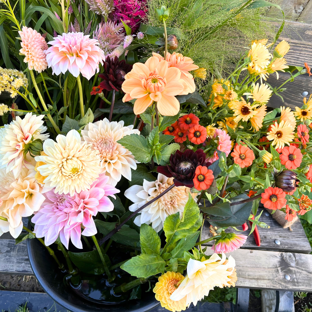 Bucket of Blooms