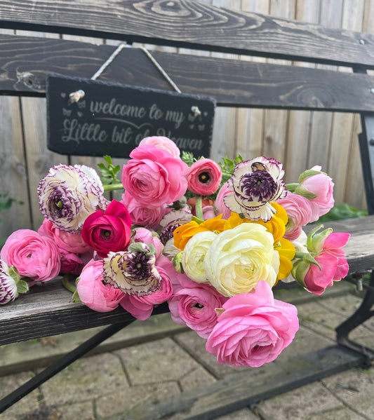 Urban Flower Farming: Growing a Cut Flower Garden in the City