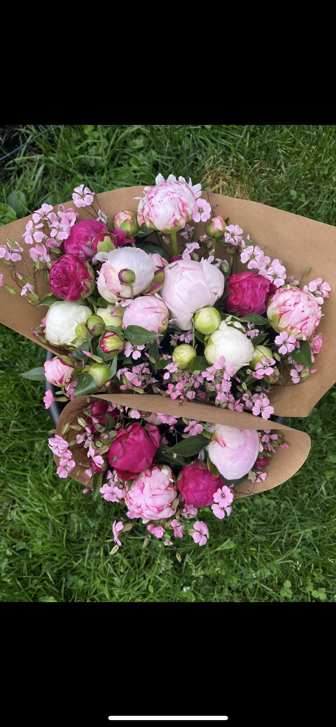 Peony and Saponaria Bouquets