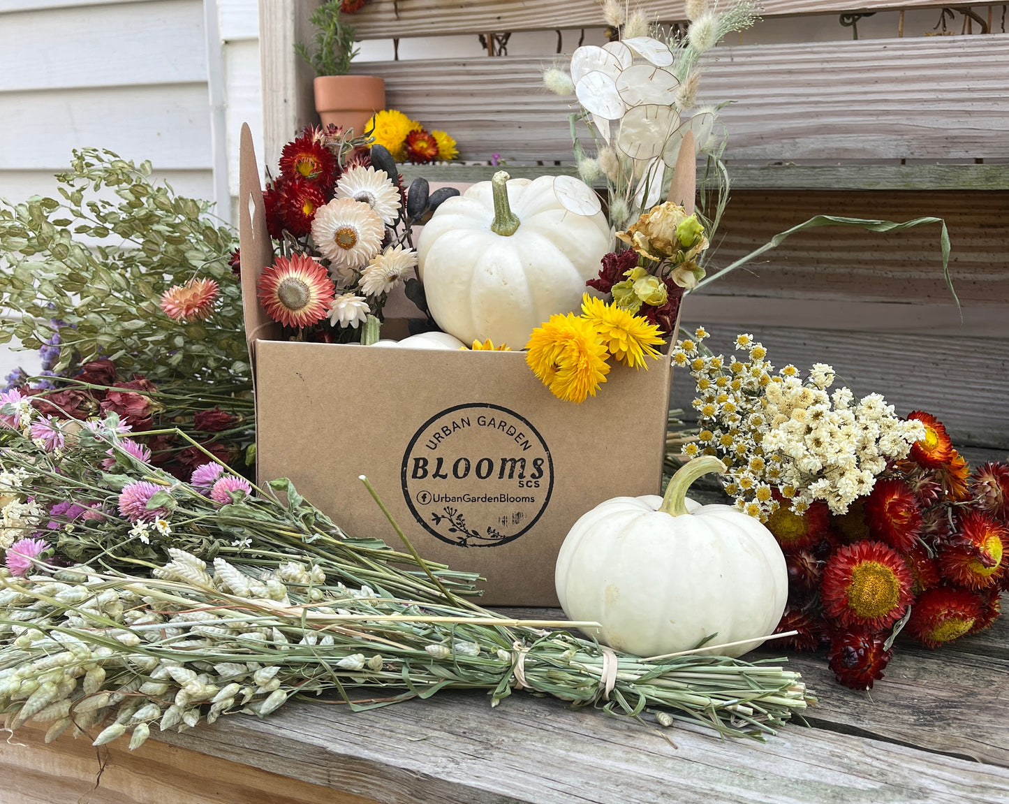 Dried Flower Pumpkin Kit