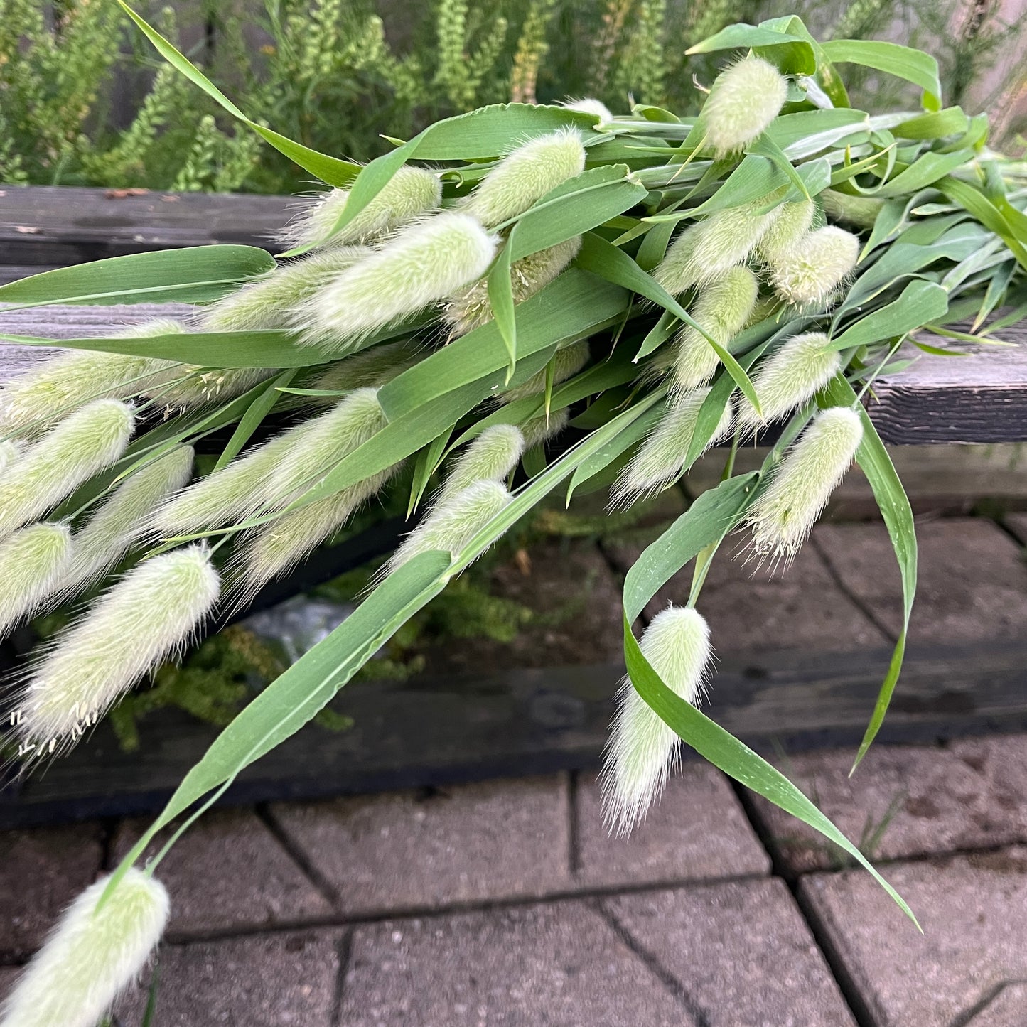Wholesale