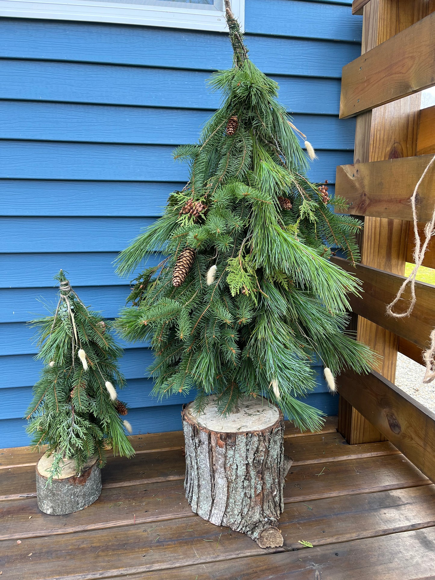 Porch Trees