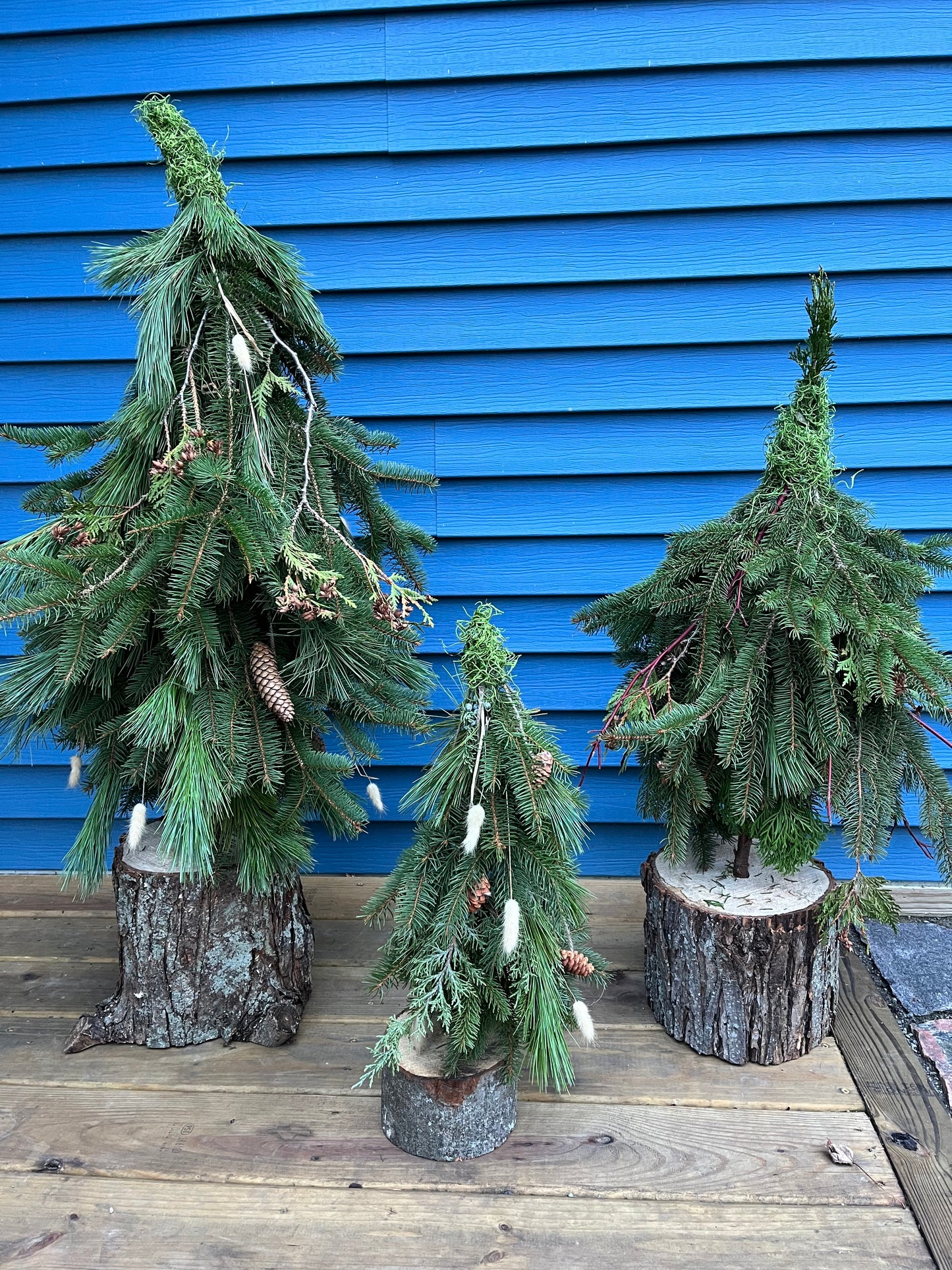 Porch Trees