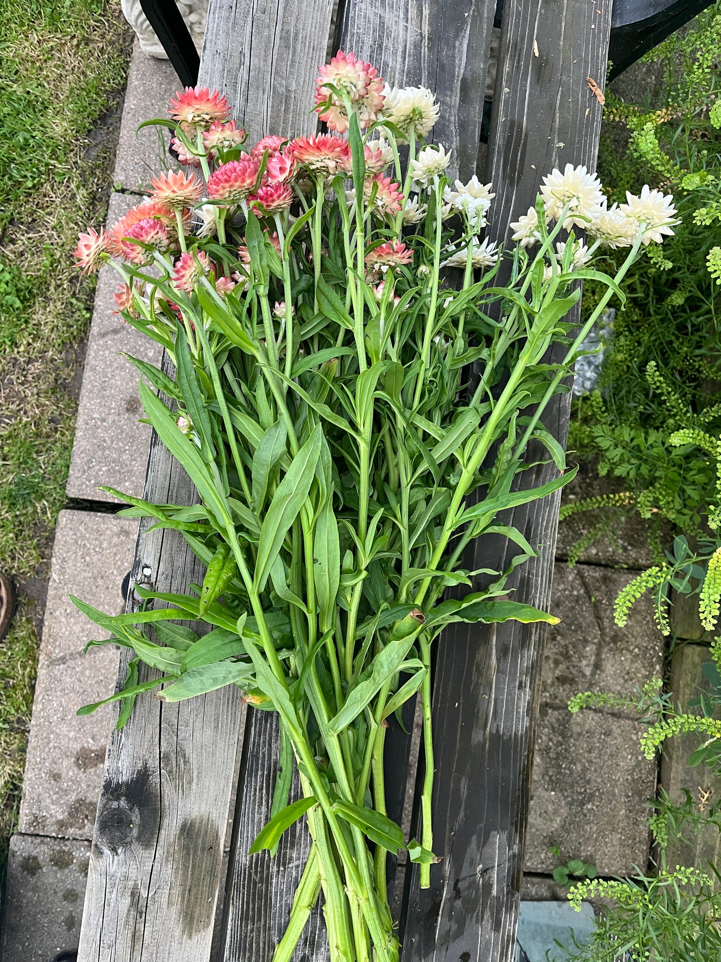 Wholesale