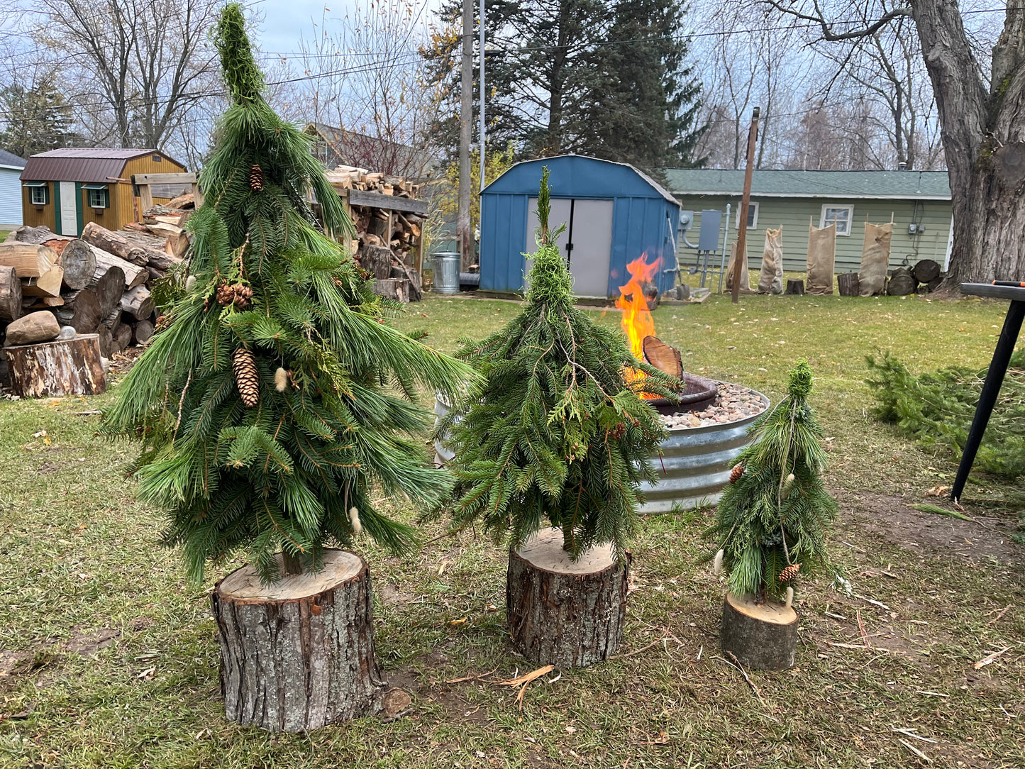 Porch Trees