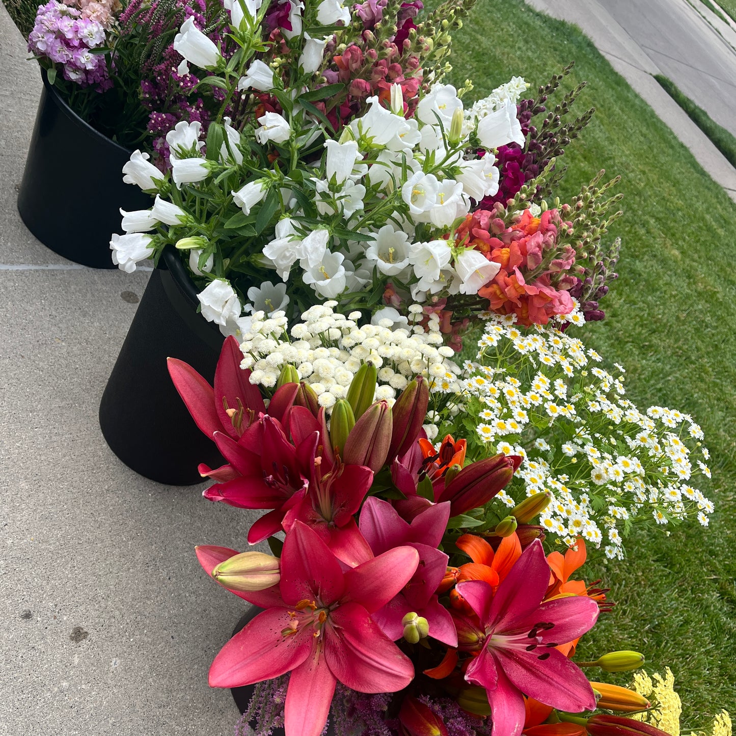 Bucket of Blooms