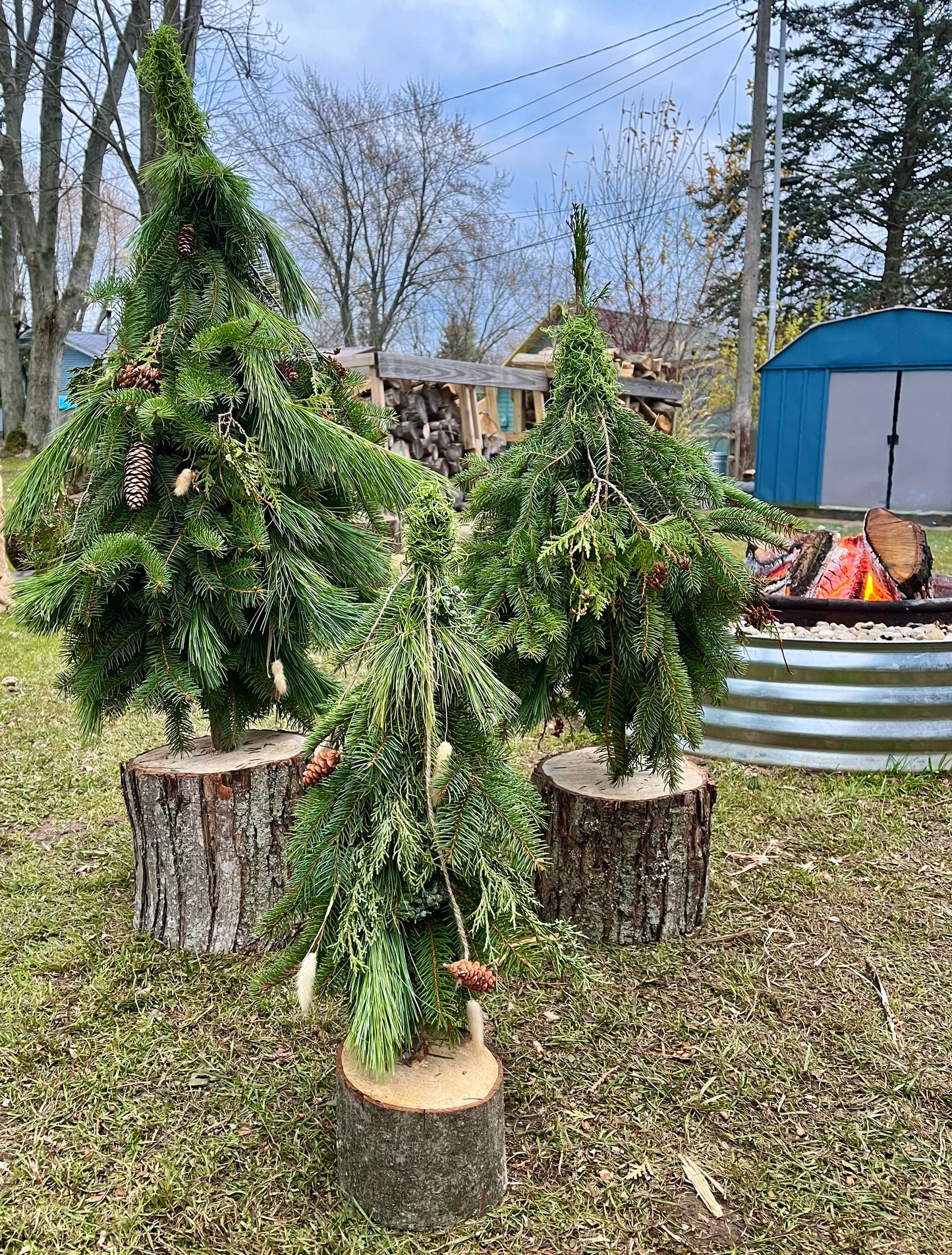 Porch Trees