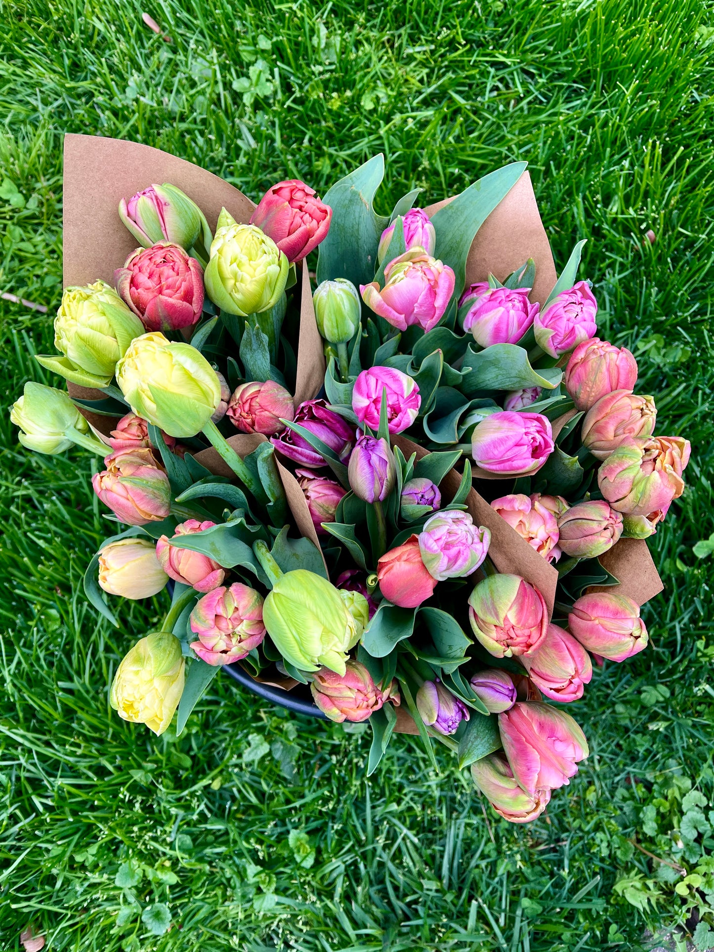 Spring Bouquet Subscription