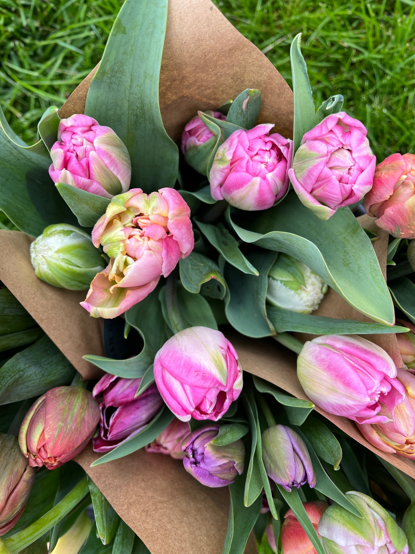 Specialty Tulip Bouquet