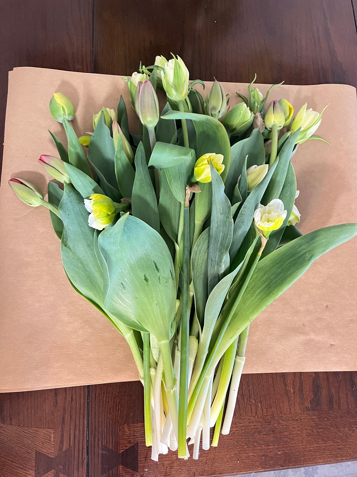 Fresh Spring Tulips Urban Garden Blooms