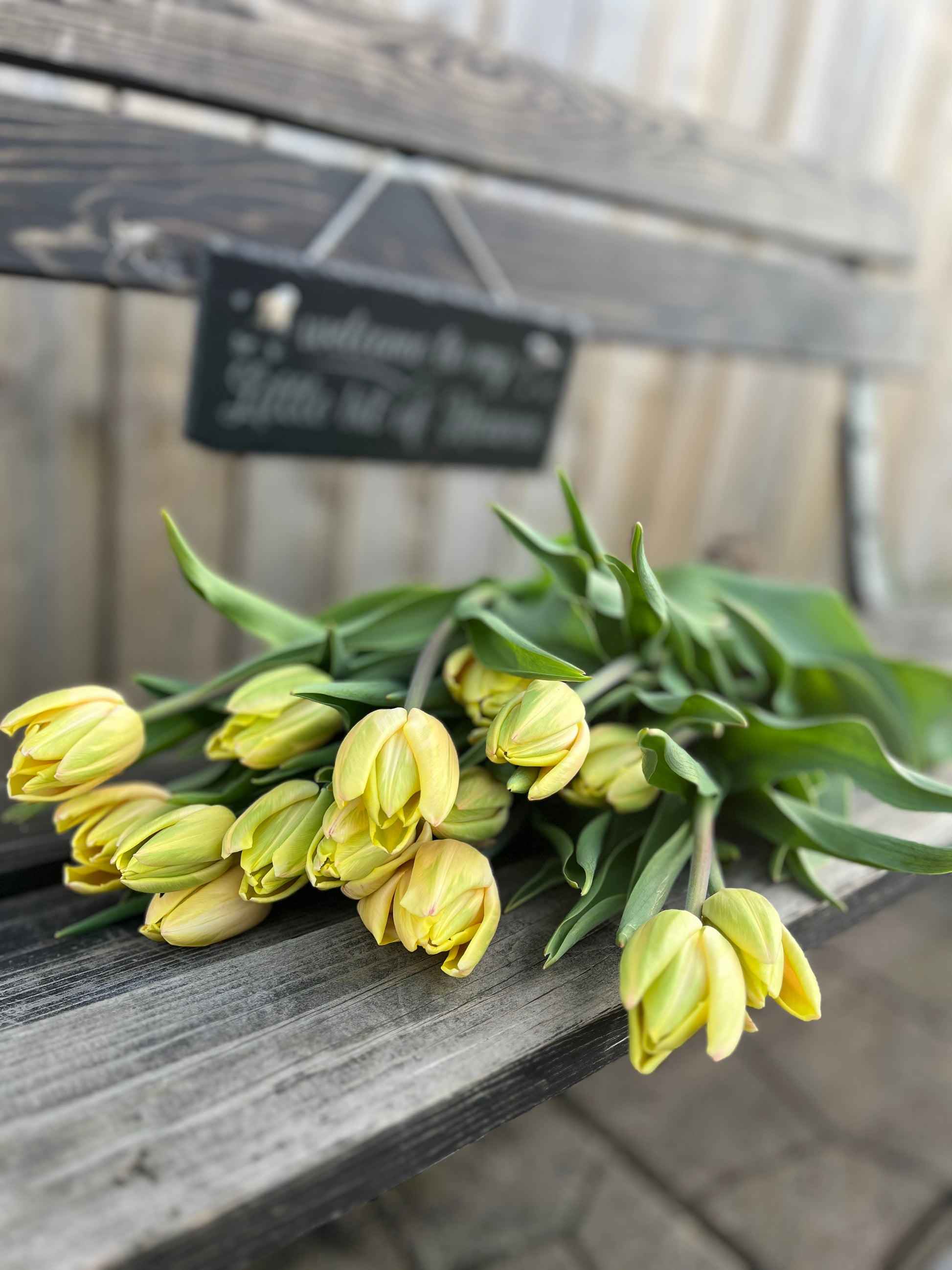 Yellow Heirloom Tulips from Urban Garden Blooms